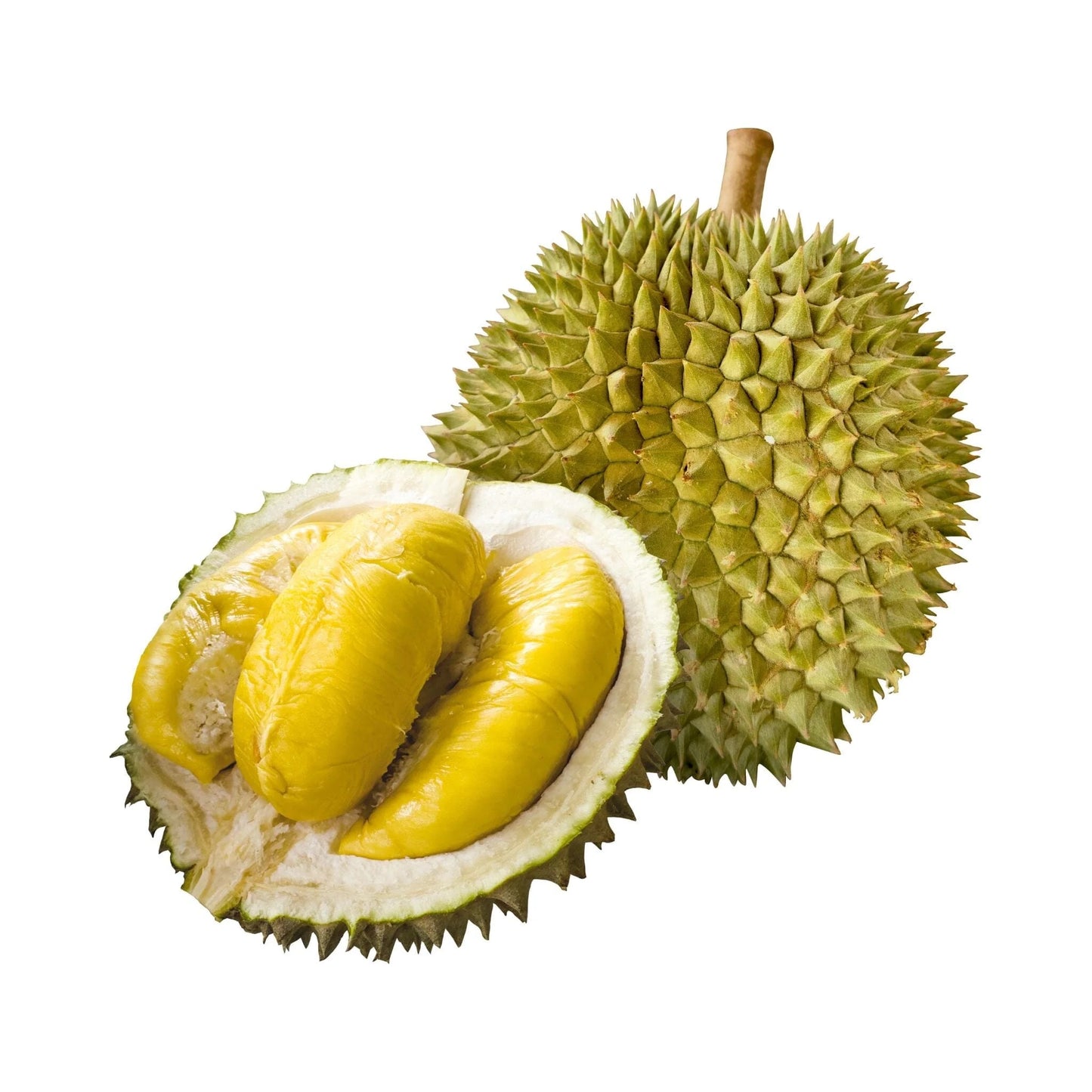 Durian fruit Packing 500g